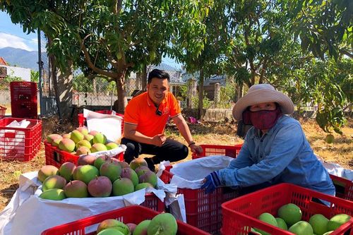 Hỗ trợ hiệu quả cho thanh niên khởi nghiệp - Bài 1: Những 'cú hích' cho khát vọng trẻ bứt phá