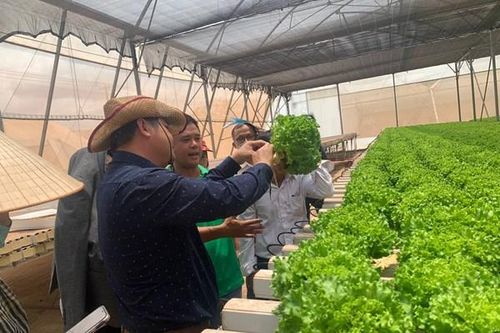 WinEco chia sẻ kỹ thuật sản xuất nông nghiệp công nhệ cao cho nông dân tỉnh Đồng Nai