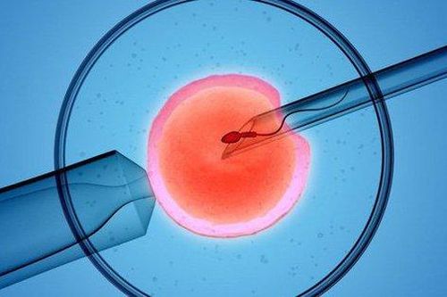 Sinh con bằng phương pháp IVF như Minh Hằng thì con có thông minh hơn không?
