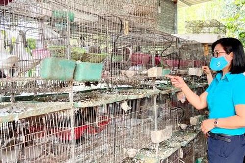 Phú Bình, Thái Nguyên: Nâng cao sức khỏe giúp phụ nữ làm kinh tế giỏi