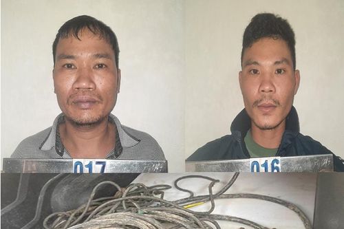 Bắt 2 đối tượng trộm cắp dây cáp điện tại nhà máy xi măng Long Sơn
