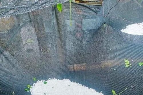 Xuất hiện hiện trượng mưa đá ở các huyện phía tây Nghệ An