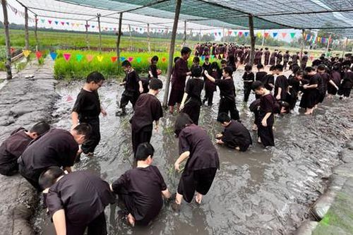 TP.HCM: Các trường tiểu học không được tổ chức hoạt động trải nghiệm ngoài thành phố