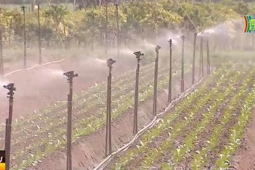 Ngày Nước thế giới 22/3 - Bảo vệ nguồn nước hiệu quả