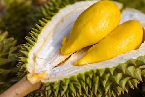 Những ai không nên ăn sầu riêng?