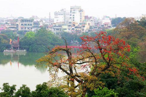 Tháng ba hoa gạo nở rồi