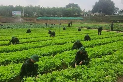 Chủ động, sáng tạo để nâng cao chất lượng phục vụ