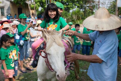 Đừng gắn mác hoạt động trải nghiệm
