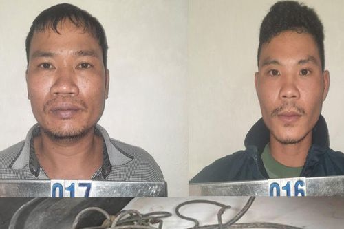 Khởi tố 2 đối tượng trộm cắp dây cáp điện