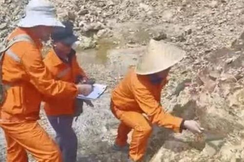 Phát hiện mỏ vàng hơn 50 tấn ở tỉnh Sơn Đông, Trung Quốc