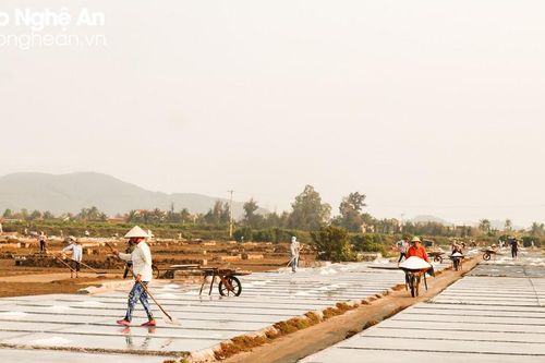 'Vựa muối' Nghệ An xoay xở tìm cách giữ nghề truyền thống