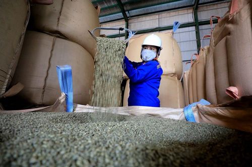 Xây dựng Buôn Ma Thuột là thành phố càphê của thế giới