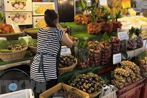 Kim ngạch thương mại giữa Trung Quốc và vùng Mekong tăng trưởng mạnh