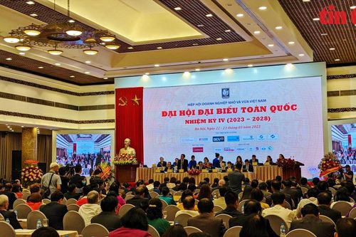 Hiệp hội Doanh nghiệp nhỏ và vừa Việt Nam là tổ chức xã hội - nghề nghiệp lớn và uy tín