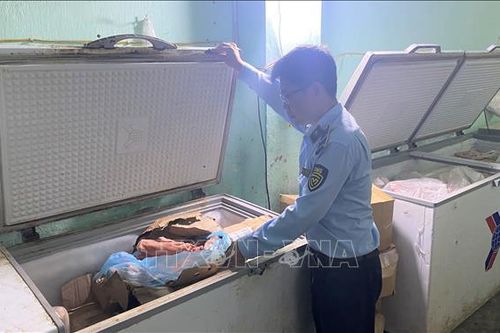 Phú Yên tạm giữ gần 600 kg thịt động vật không rõ nguồn gốc, xuất xứ