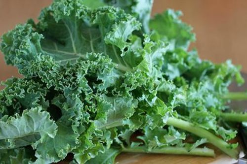 Rau cải xoăn: Thực phẩm cực tốt cho sức khỏe
