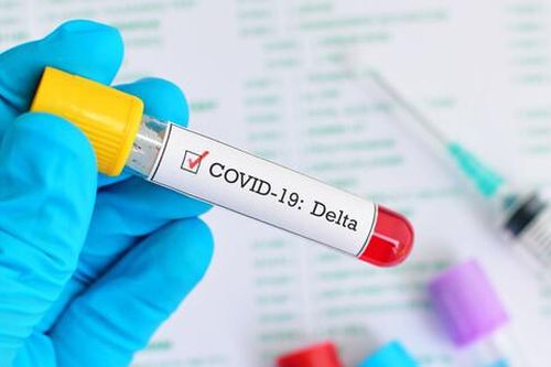 Virus Marburg nguy hiểm thế nào?