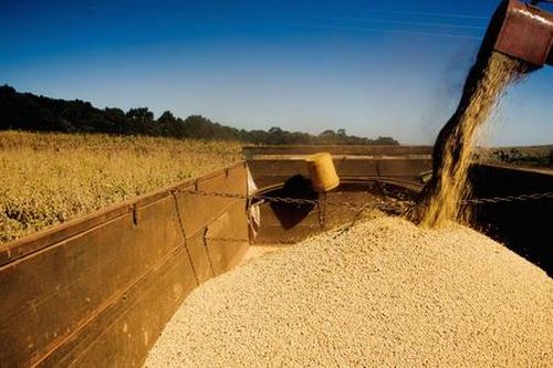 'Khúc mắc' thuế nhập khẩu đậu tương đang làm khó nuôi trồng thủy sản