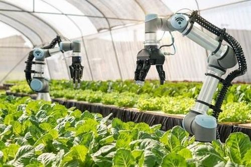 Ứng dụng khoa học công nghệ là con đường nhanh nhất để phát triển vùng sâu, vùng xa