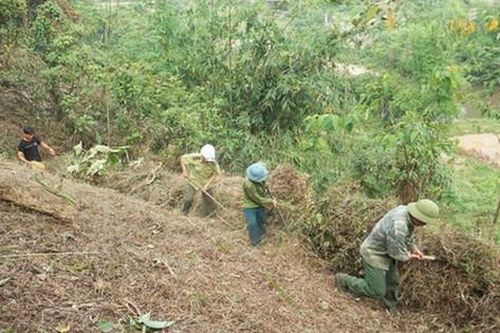 Lào Cai: Tăng cường các biện pháp phòng, chống cháy rừng