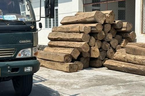 Tạm giữ xe tải và lô gỗ có hóa đơn chứng từ với nhiều bất thường