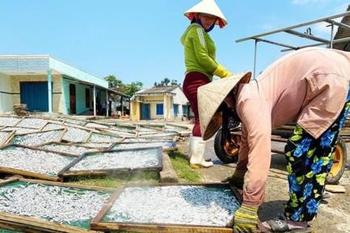 Làng nghề hấp cá Tịnh Kỳ nhộn nhịp vào mùa
