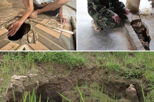 Vì sao doanh nghiệp tình nguyện hỗ trợ người dân?