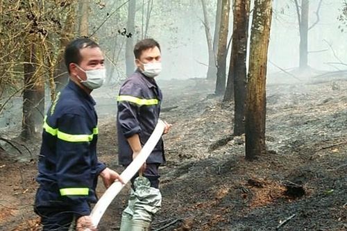 Hà Nội: Kịp thời ngăn chặn vụ cháy rừng, đưa người bị ong đốt đi cấp cứu