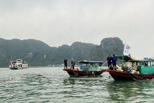 Quảng Ninh: Ra quân thu gom phao xốp, rác thải trên Vịnh Hạ Long