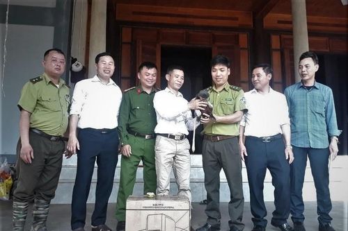 Tận mục 'nữ hoàng của loài linh trưởng' VQG Vũ Quang mới tiếp nhận