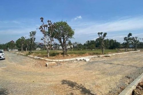 VCCI: Doanh nghiệp muốn thu hồi đất cần có sự can thiệp từ Nhà nước