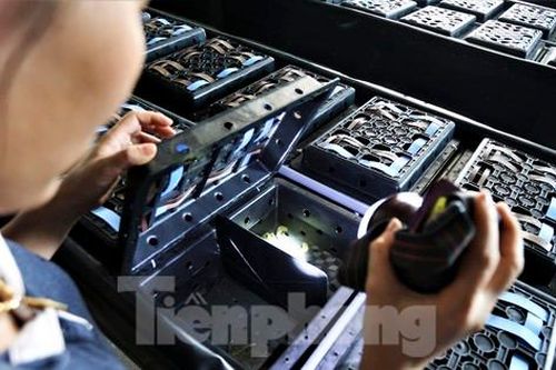 Tận thấy trại nuôi cua biển trong hộp nhựa đầu tiên ở Hà Tĩnh