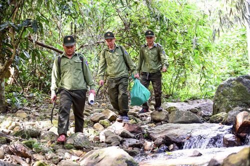 Quyết liệt triển khai các giải pháp phòng, chống cháy rừng