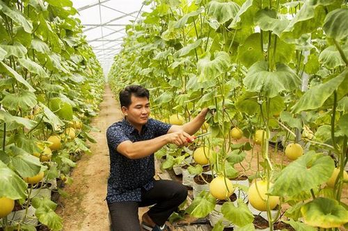 Bám sát Nghị quyết số 01/NQ-CP thúc đẩy cải cách hành chính trong nông nghiệp