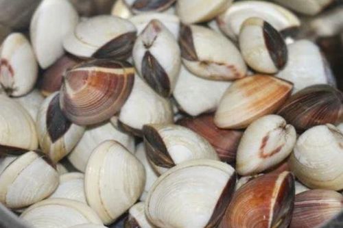Thêm vài giọt này vào nước ngâm ngao, ngao nhả sạch cát giúp món ăn trở nên hoàn hảo