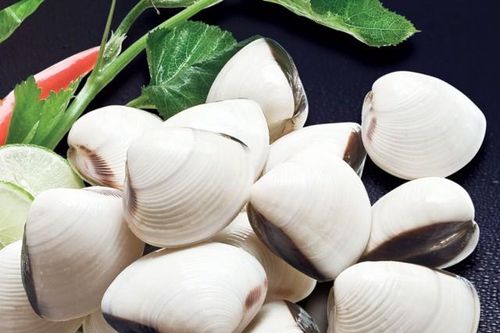 Ngược dòng xu hướng, xuất khẩu nghêu tăng mạnh trong tháng 2