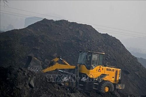 iFOREST: Mất 900 tỷ USD để Ấn Độ từ bỏ than đá