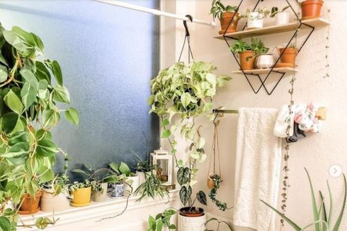 9 ý tưởng tạo vườn treo xanh tươi, đẹp mắt trong phòng tắm nhỏ