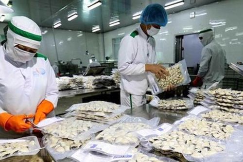 Ngành nghêu 'vượt bão' vươn tầm thế giới