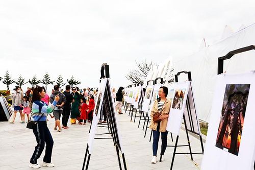 Đa dạng các hoạt động triển lãm
