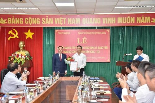 Chuyển giao Đảng bộ Công ty Nhôm Đắk Nông về Đảng bộ TKV