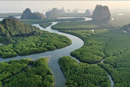 Quản lý tài nguyên nước cần thiết lập khuôn khổ pháp lý toàn cầu