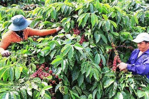 Nông nghiệp sạch lên ngôi, nông dân 'sống khỏe'