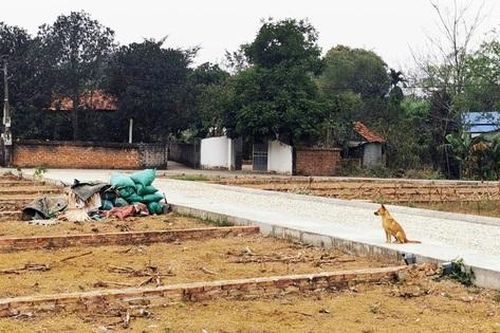 Mua bất động sản thời 'sốt giá', nay cay đắng đi làm bảo vệ trả lãi