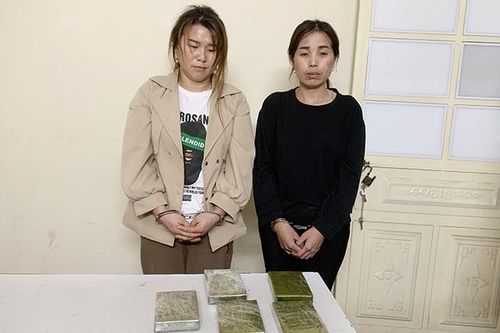 Công an và biên phòng phối hợp, bắt 2 vụ ma túy lớn