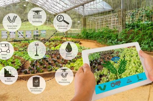 Ứng dụng trí tuệ nhân tạo - chìa khóa phát triển nền nông nghiệp hiện đại và bền vững