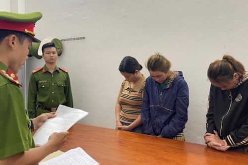 Hô biến hạt mạch nha thành thần dược