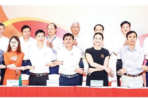 TPHCM phát triển chuỗi cung ứng với các địa phương phía Bắc và Bắc Trung bộ