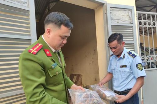 Lào Cai thu giữ hơn 1 tấn dược liệu không rõ nguồn gốc