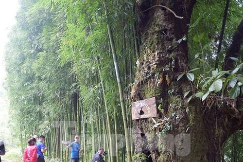Sải bước ở Lai Châu: Lên bản 'suối có vàng'